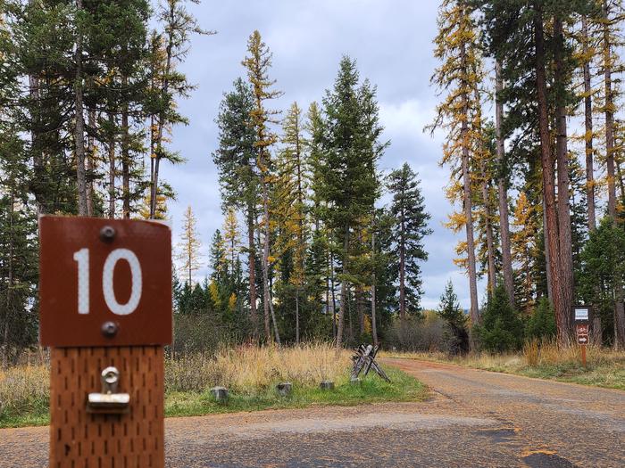 A photo of BLS10 in Loop 1 at Big Larch Campground with a campsite marker, parking area.