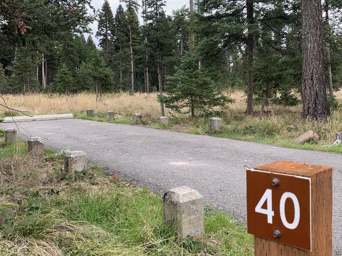 A photo of Site BLS40 in Loop 3 at Big Larch Campground with campsite marker, parking area. 
