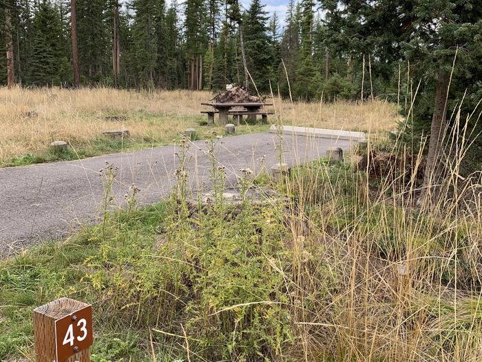 A photo of Site BLS43 in Loop 3 at Big Larch Campground with campsite marker, parking area. Site BLS43 in Loop 3 at Big Larch Campground with campsite marker, parking area.