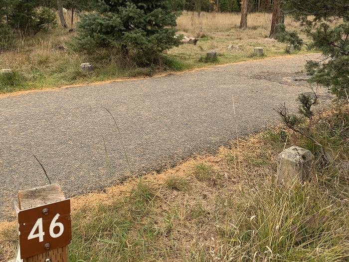 A photo of Site BLS46 in Loop 3 at Big Larch Campground with campsite marker, parking area.