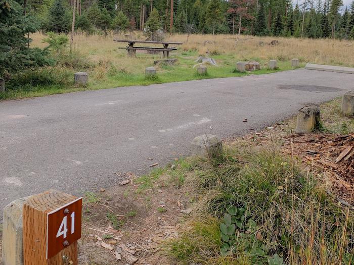 A photo of Site BLS41 in Loop 3 at Big Larch Campground with campsite marker, parking area.