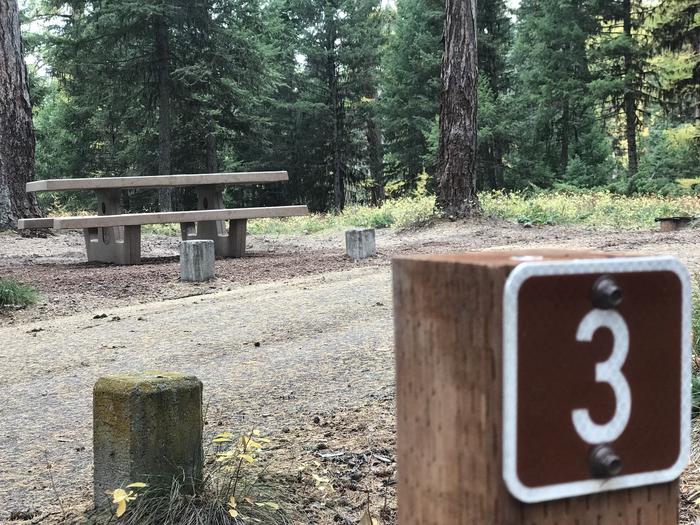 A photo of Site SLS3 in Loop 1 at Seeley Lake Lolo Campground (MT) with campsite marker, picnic table, parking area.