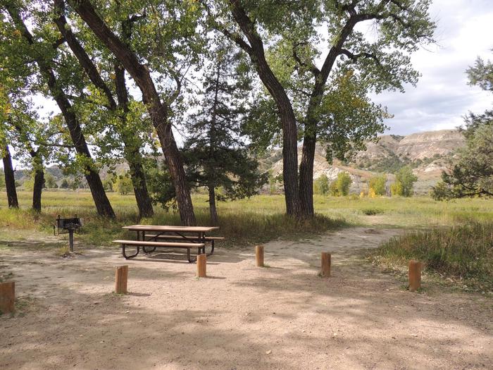 Cottonwood Preview Image shows a campsite with a picnic tableCottonwood Preview Image