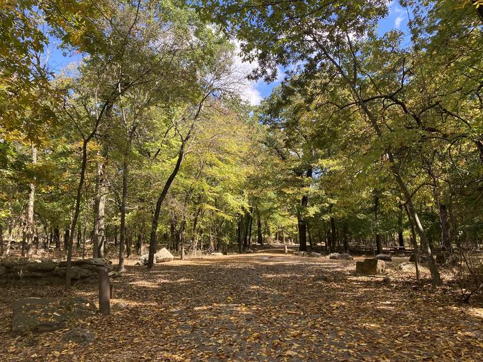 the entrance to Cold Springs Campground, covered in leaves and shaded by trees on each side.Cold Springs Campground during Autumn 
