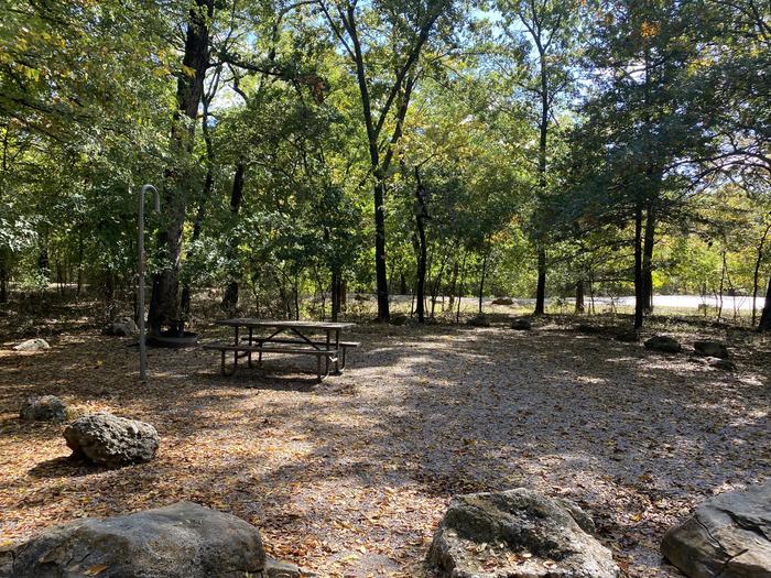 A campsite covered in yellow and orange leaves. A picnic table and lantern post are on the far left.A campsite at Cold Springs Campground located across from Travertine Creek
 