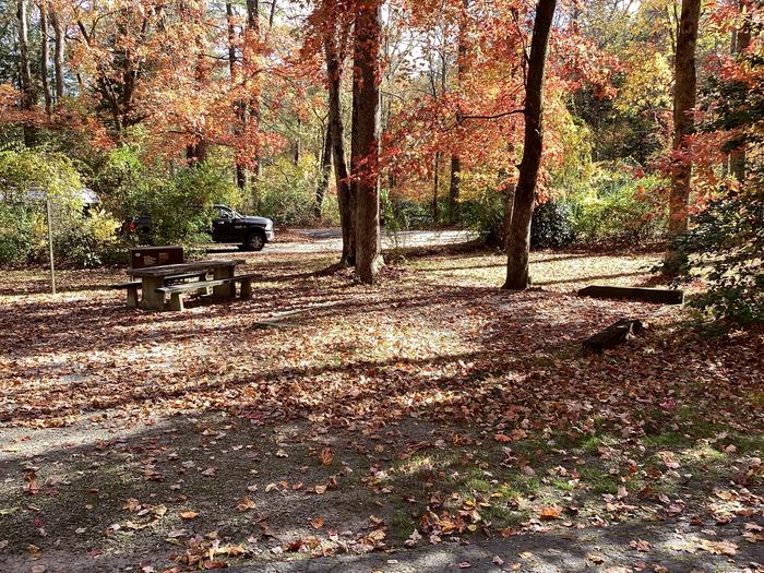 A photo of Site 002 of Loop NORT at NORTH MILLS RIVER with Picnic Table, Fire Pit, Shade, Food Storage, Tent Pad, Lantern Pole