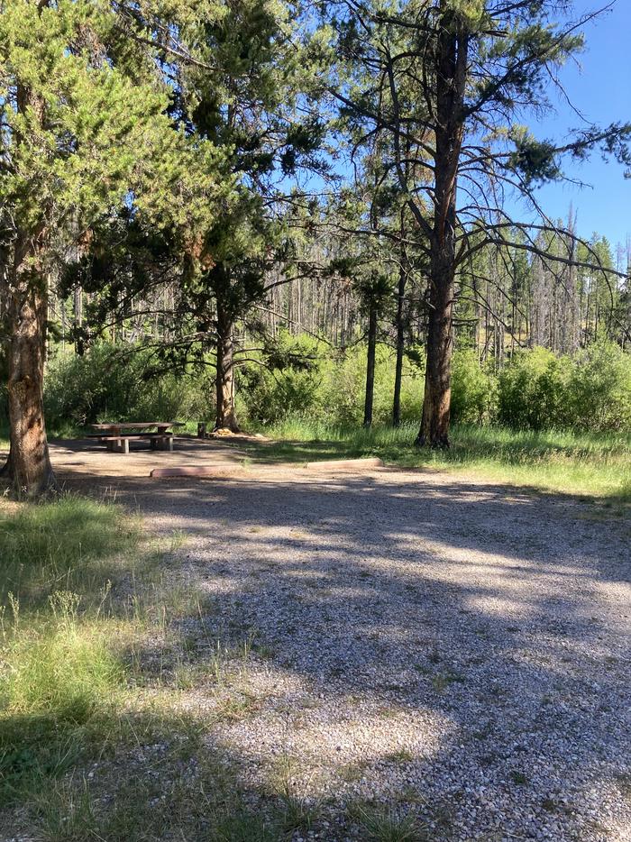 campsite parking spur and picnic table shaded by conifersCampsite