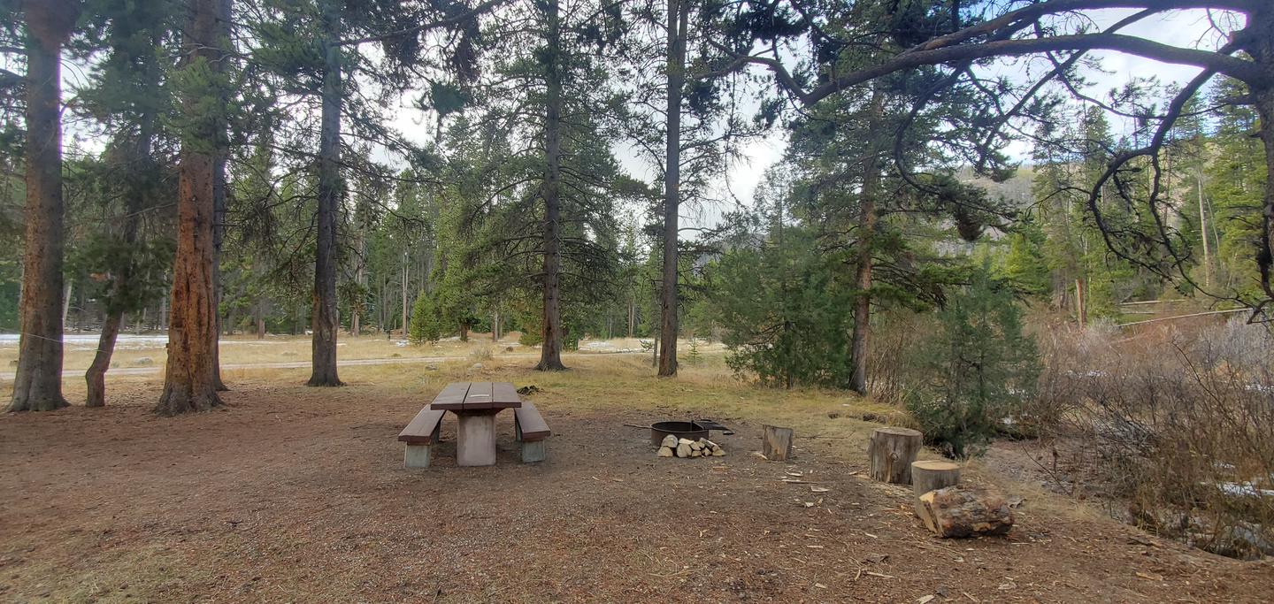 Campsite with picnic table and fire ring shaded by conifersCampsite