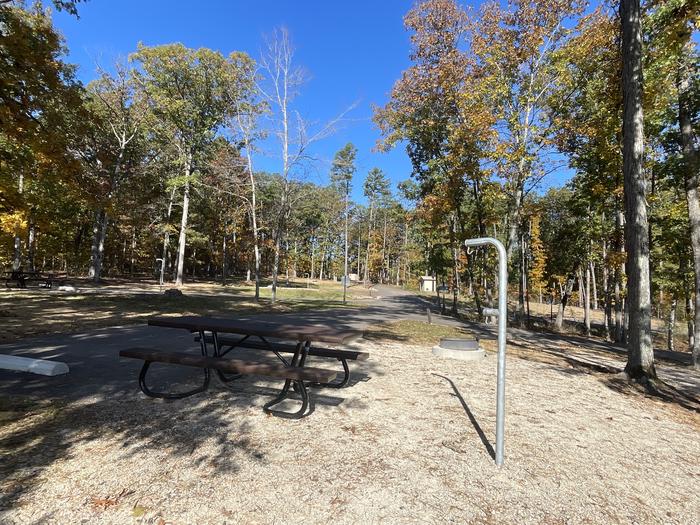 A photo of Site PO5 of Loop Pines Overlook at RED BLUFF CAMPGROUND with Picnic Table