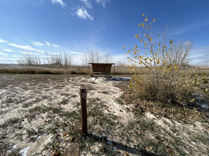 A photo of Site C050 of Loop Butte at Cedar Pass Campground  with Picnic Table, Shade