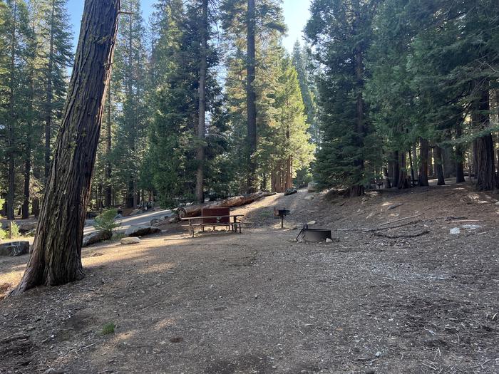 A photo of Site 004 of Loop CALI at WOLF CREEK CALIFORNIA with No Amenities Shown
