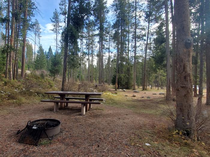 Campsite with picnic table and fire ringCampsite in East Fork