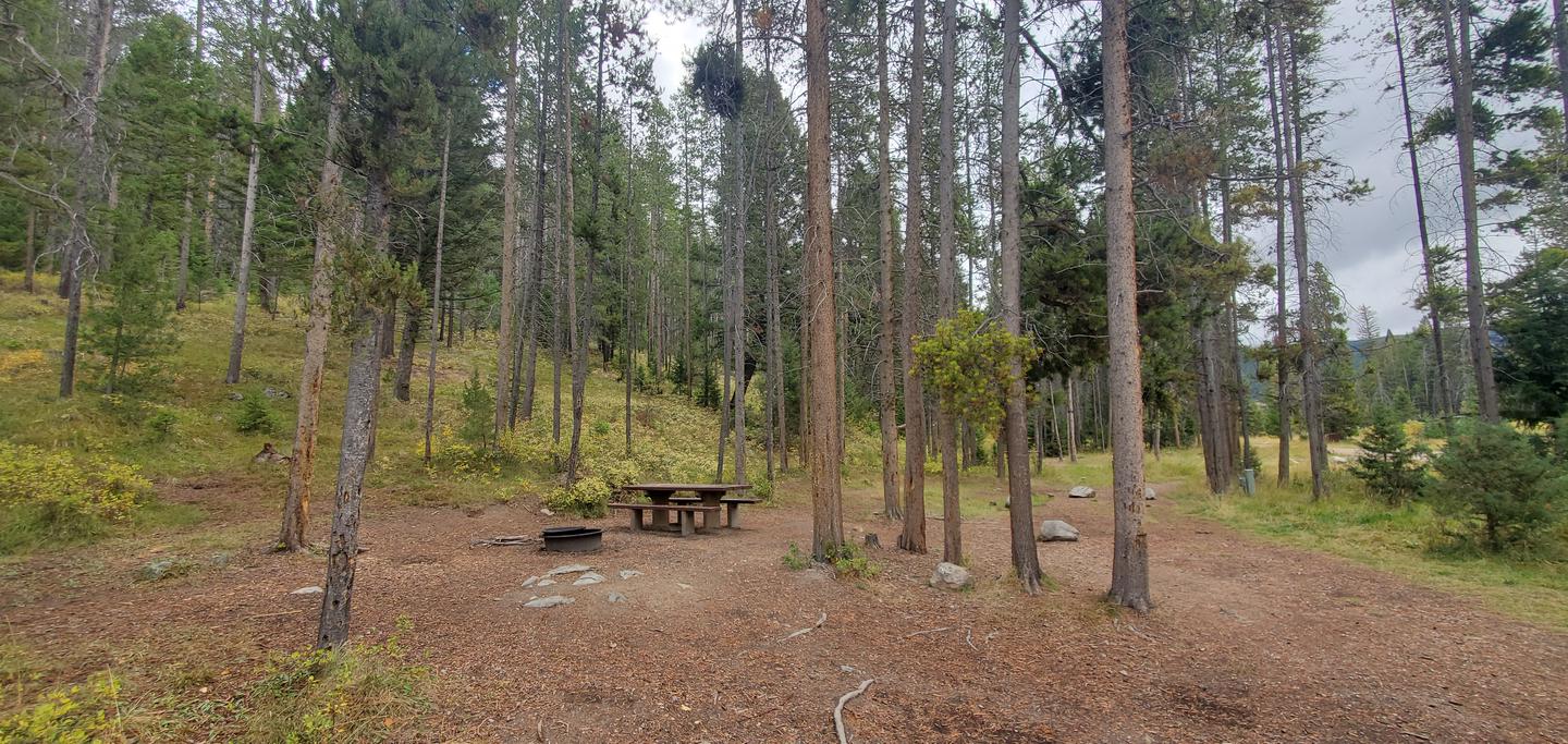 Campsite with fire ring and picnic table and parking spurCampsite