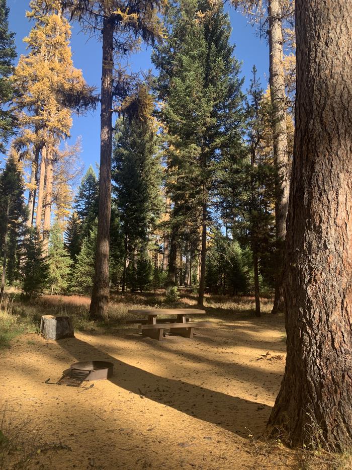 A photo of Site SLS24 in Loop 2 at Seeley Lake Lolo Campground (MT) with picnic table, campfire ring.A photo of Site SLS24 in Loop 2 at Seeley Lake Lolo Campground (MT) with picnic table, campfire ring. 
