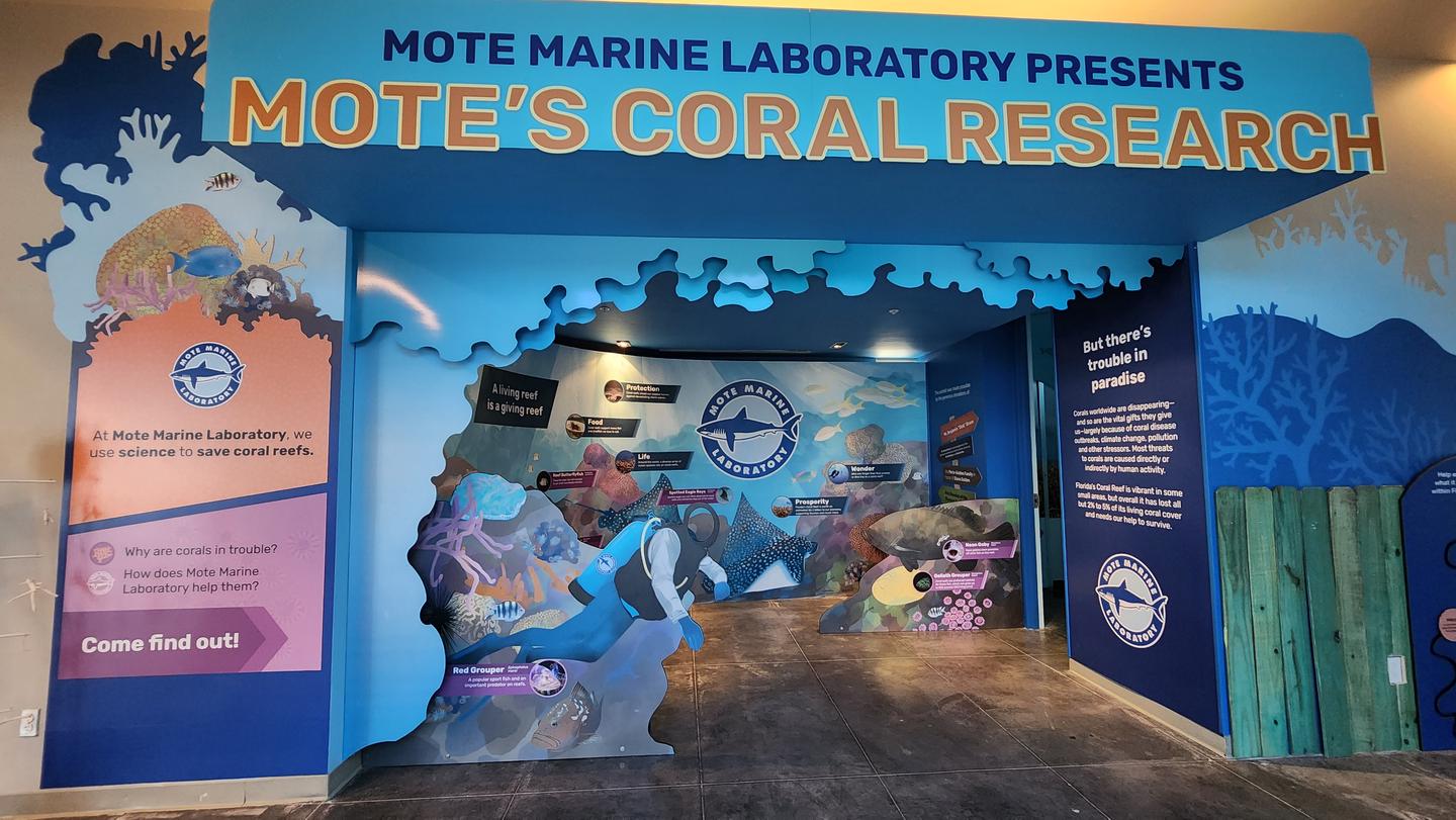 Florida Key Eco-Discovery CenterMote's Coral Research Laboratory in the Eco-Discovery Center