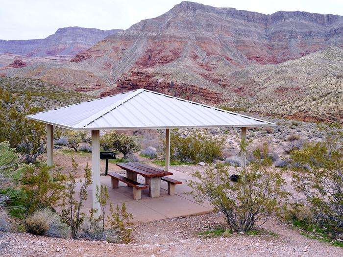 Sheltered Site with the Paiute Mountains