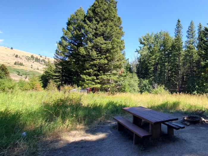 Preview photo of Racetrack Campground (MT)