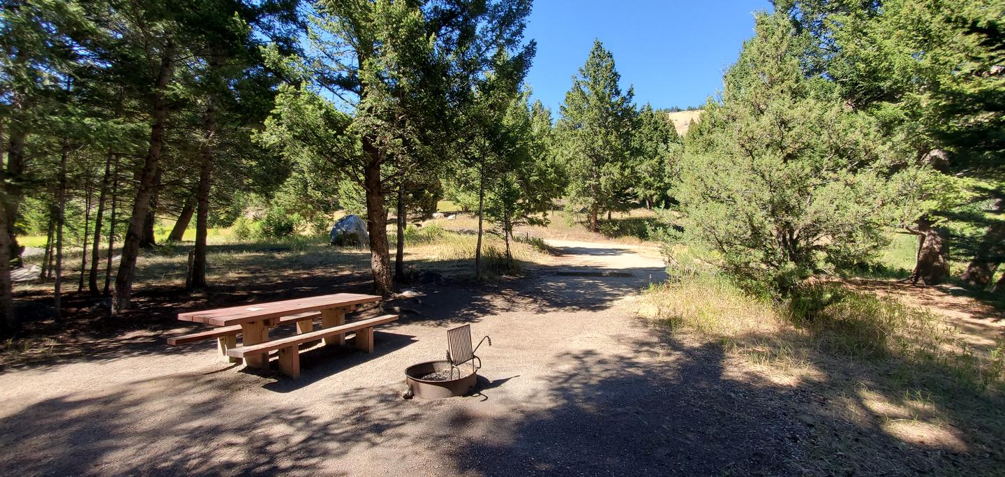Fire ring with picnic table, fire ring, and parking spur in view.Campsite