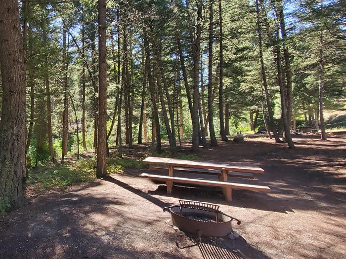Campsite with picnic table and fire ring, shaded by trees adjacent to Racetrack creek.Campsite