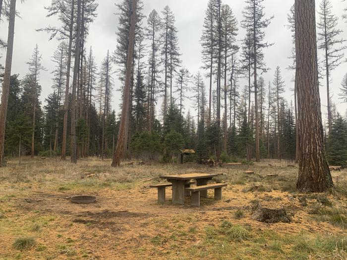 A photo of Site BLS27 in Loop 2 at BIG LARCH CAMPGROUND with Picnic Table, Fire Pit. 