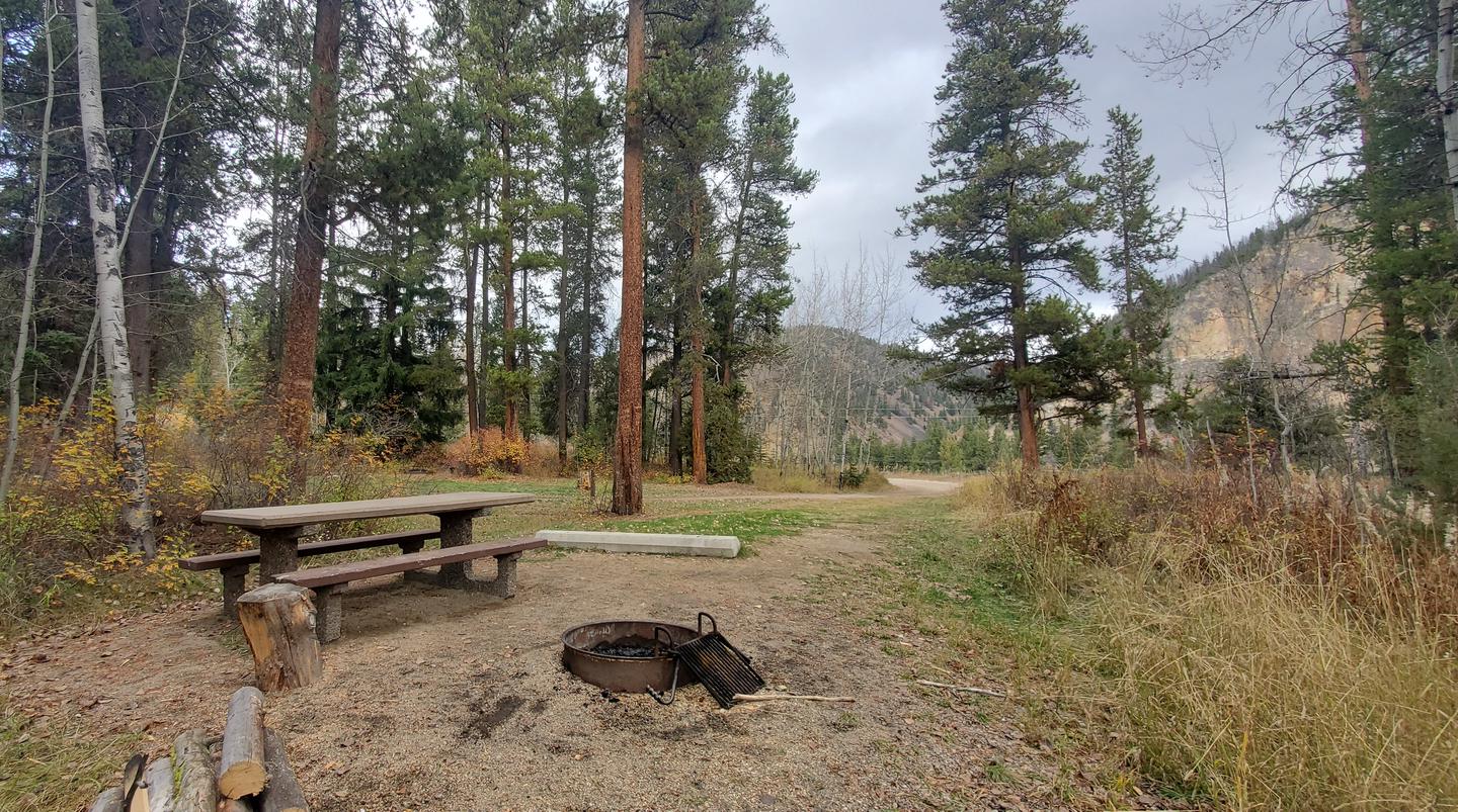 Campsite with parking spur, picnic table, fire ringCampsite