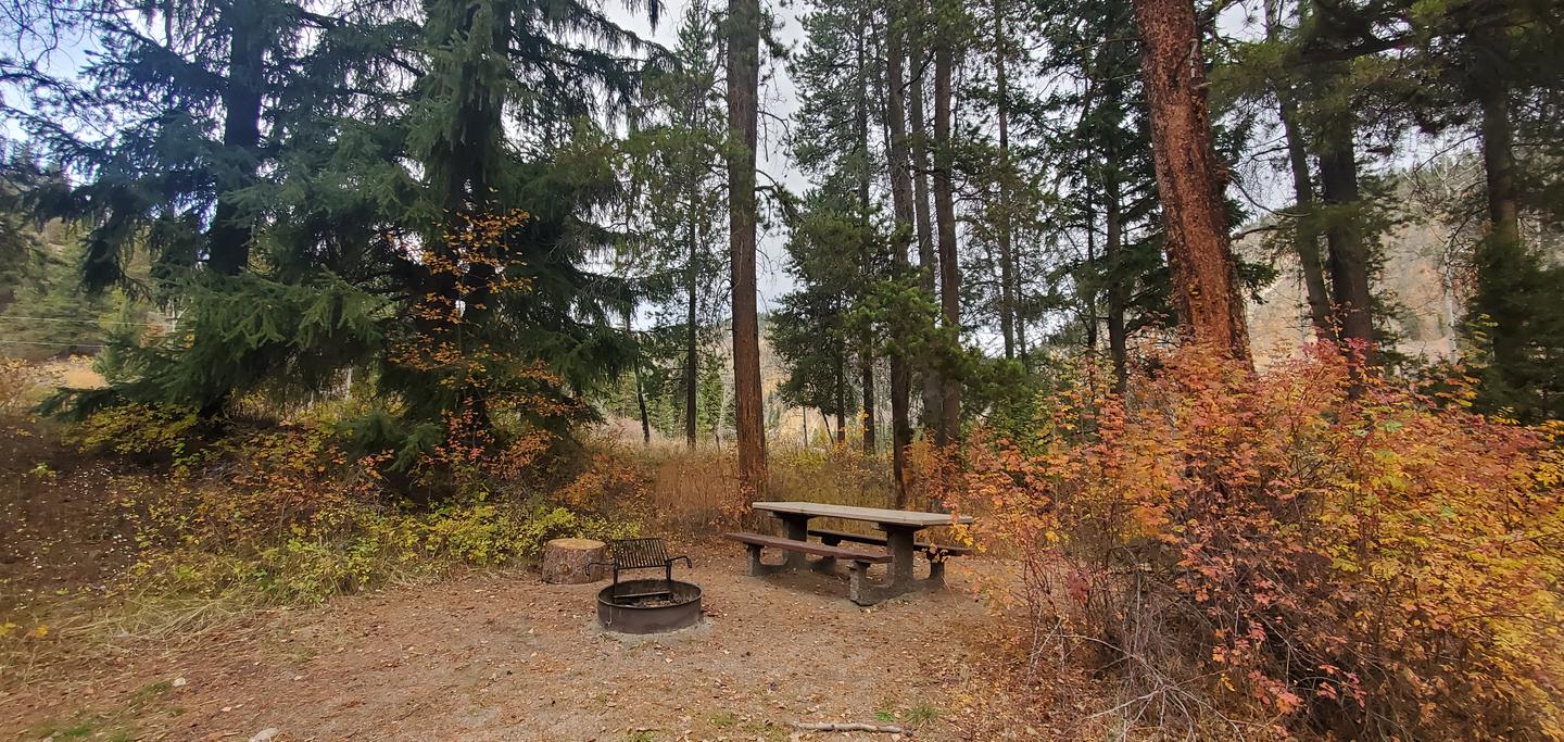 Campsite with picnic table and fire ring surrounded by fall foliage and conifersCampsite