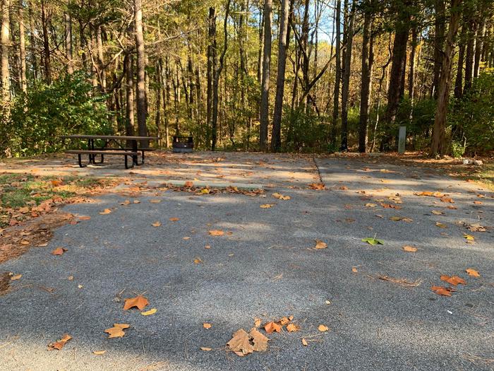 picnic table, fire pit, and extra parking to the left of camp pad, electric, water, and sewer to the right of pad.