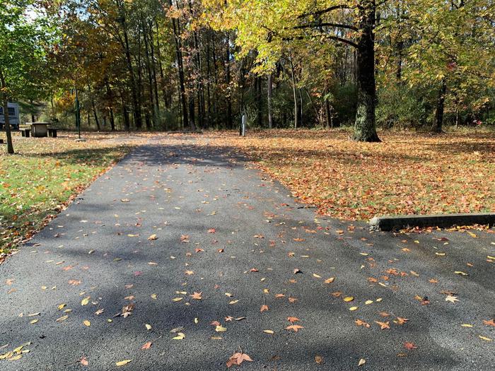 This site has a picnic table and fire pit located on the left side of the paved parking/camping pad. The hookups are on the right side of the pad. There are a lot trees on the site providing shade.