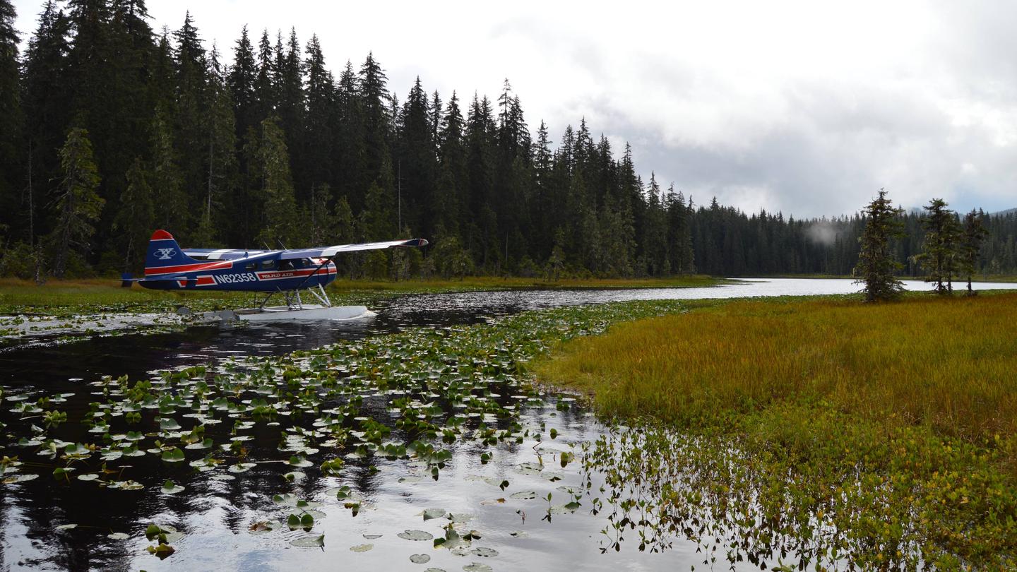 Peterson Lake with Floatplane