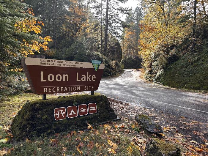 View of Loon Lake Recreation Site entrance sign in the foreground with the entrance road in the background.