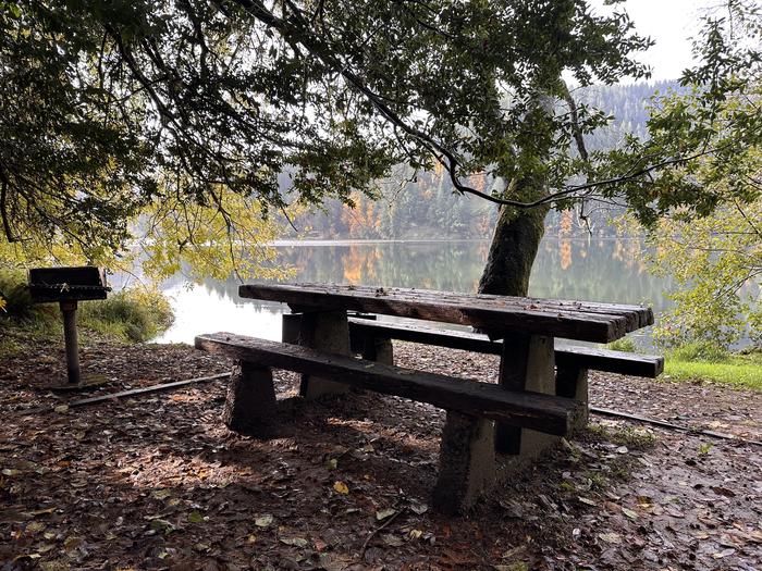 One of two day use area picnic benches and grill
