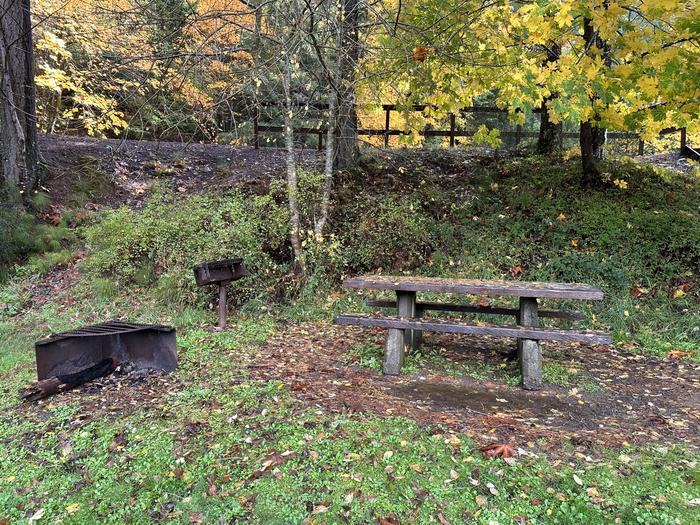 One of two day use area picnic benches and grill