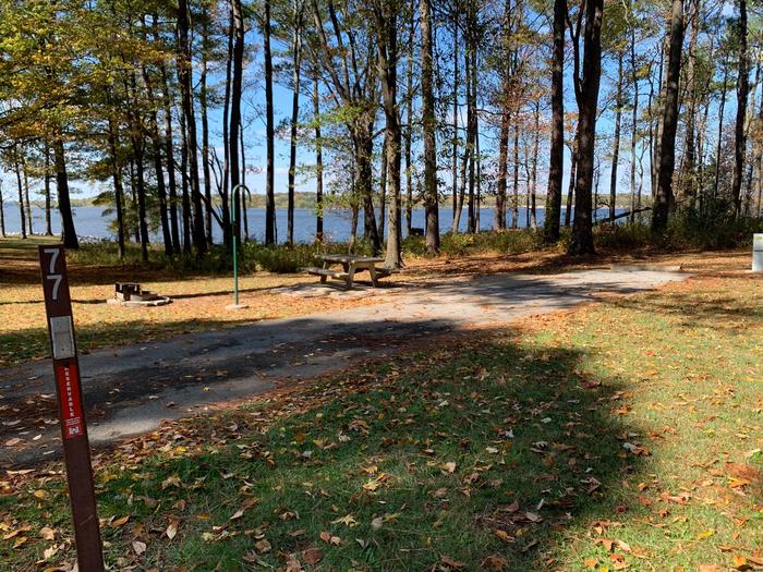 There is a great view of the lake at this site. The picnic table and fire pit are located on the left side of the paved parking pad and the hookups are at the rear right corner of the pad. 