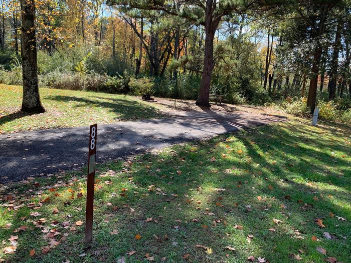 This site has a tree line at the rear of the site  with the picnic table and fire pit located on the left side of the paved parking/camping pad and the hookups are located to the right of the pad. 