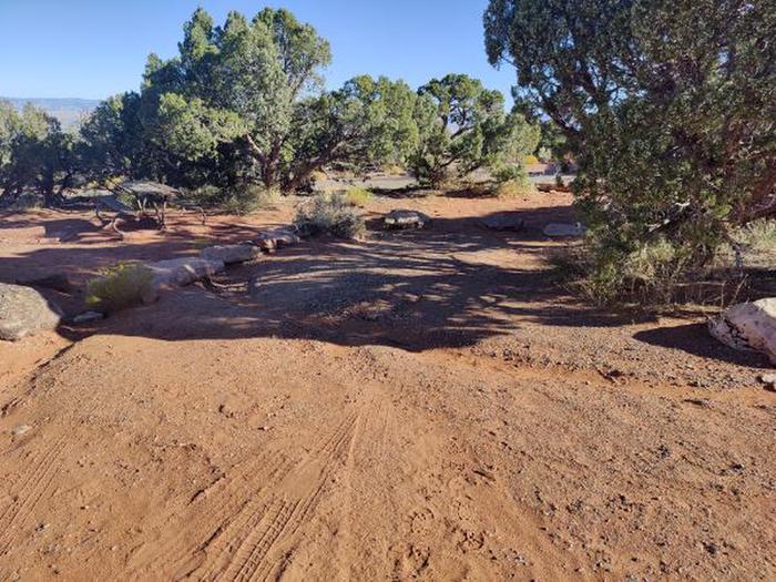 A photo of Site 56 of Loop C at SADDLEHORN CAMPGROUND