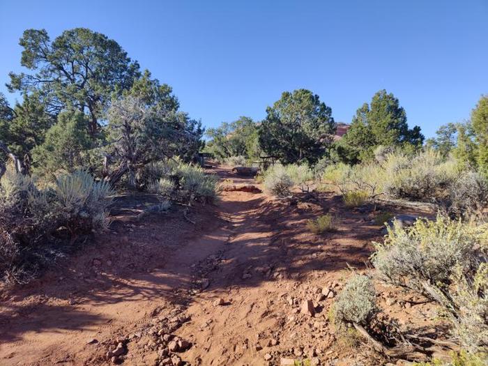 A photo of Site 53 of Loop C at SADDLEHORN CAMPGROUND