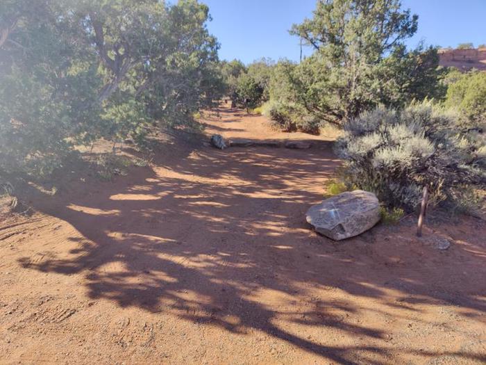 A photo of Site 57 of Loop C at SADDLEHORN CAMPGROUND