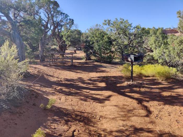 A photo of Site 57 of Loop C at SADDLEHORN CAMPGROUND