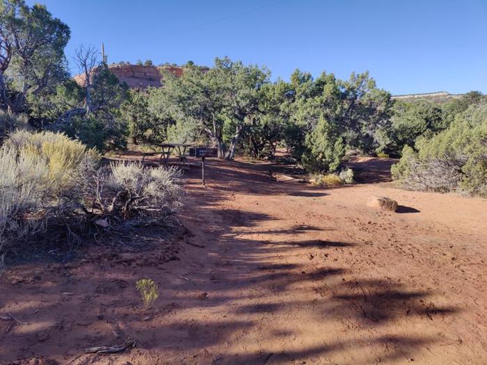 A photo of Site 52 of Loop C at SADDLEHORN CAMPGROUND