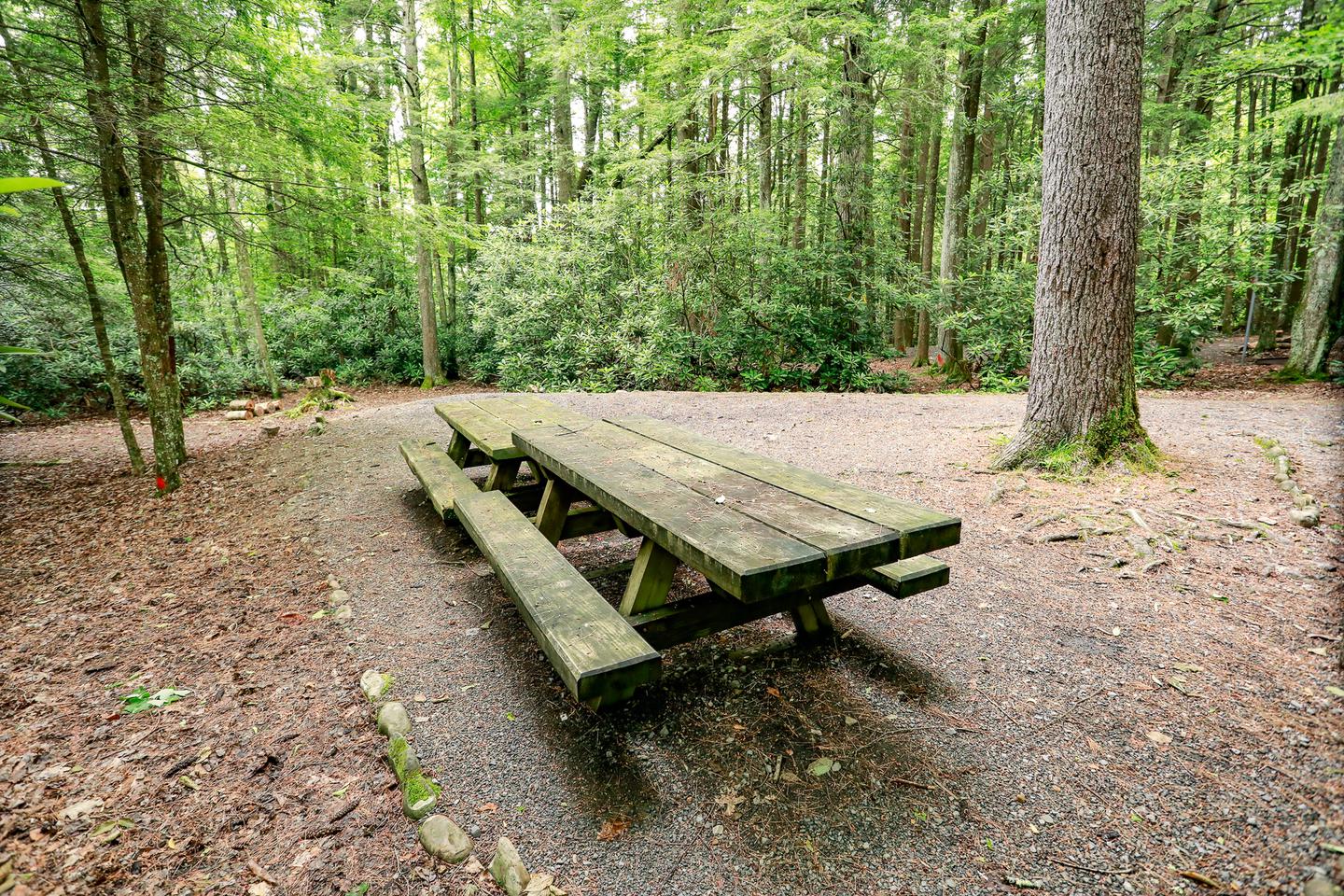Campsite 2 picture 3Campsite 2 picnic table