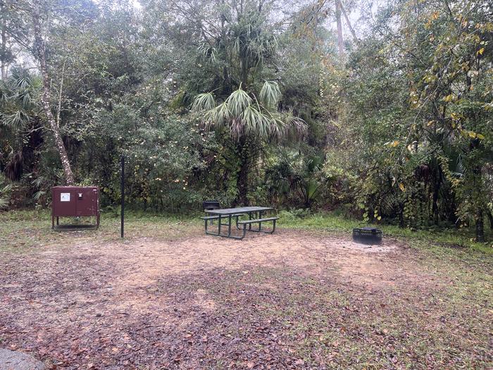 A photo of Site 018 of Loop TROP at JUNIPER SPRINGS REC AREA with Picnic Table, Fire Pit, Food Storage, Lantern Pole