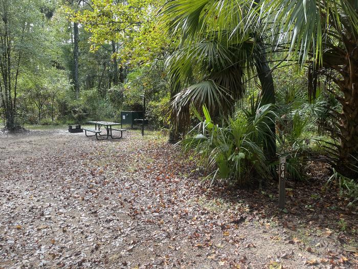 A photo of Site 064 of Loop FERN at JUNIPER SPRINGS REC AREA with Picnic Table, Fire Pit, Food Storage, Lantern Pole