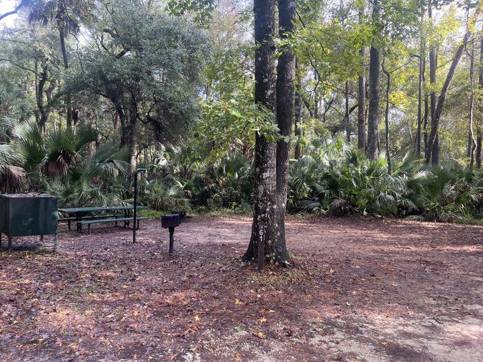A photo of Site 061 of Loop FERN at JUNIPER SPRINGS REC AREA with Picnic Table, Fire Pit, Shade, Food Storage, Lantern Pole