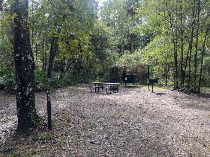 A photo of Site 065 of Loop FERN at JUNIPER SPRINGS REC AREA with Picnic Table, Fire Pit, Food Storage, Lantern Pole
