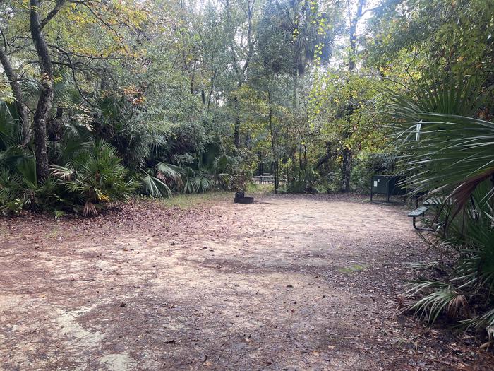 A photo of Site 063 of Loop FERN at JUNIPER SPRINGS REC AREA with Picnic Table, Fire Pit, Food Storage, Lantern Pole