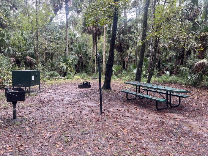 A photo of Site 068 of Loop FERN at JUNIPER SPRINGS REC AREA with Picnic Table, Fire Pit, Shade, Food Storage, Lantern Pole
