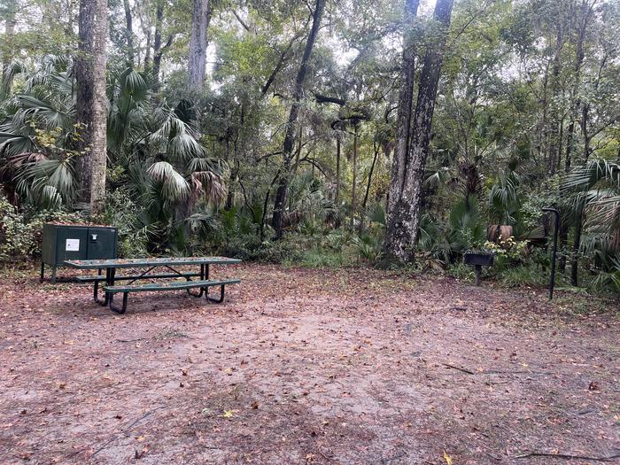 A photo of Site 067 of Loop FERN at JUNIPER SPRINGS REC AREA with Picnic Table, Shade, Food Storage, Lantern Pole