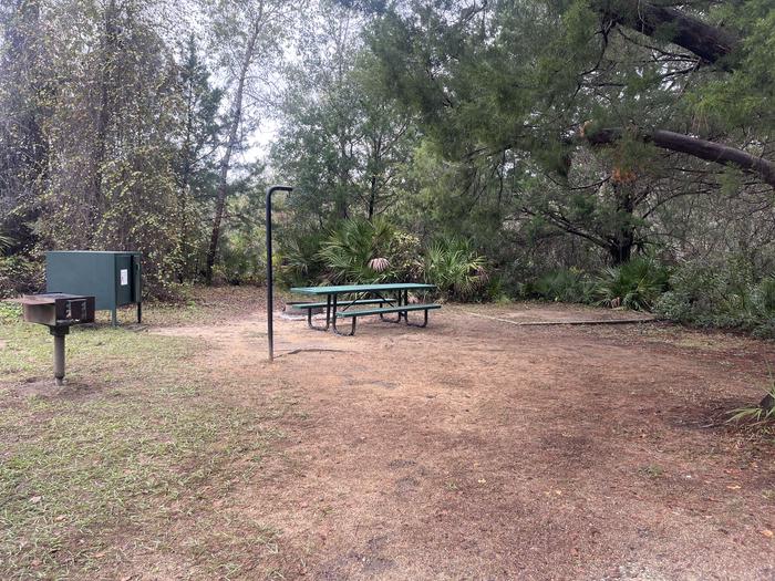 A photo of Site 041 of Loop SAND at JUNIPER SPRINGS REC AREA with Picnic Table, Fire Pit, Shade, Food Storage, Tent Pad, Lantern Pole