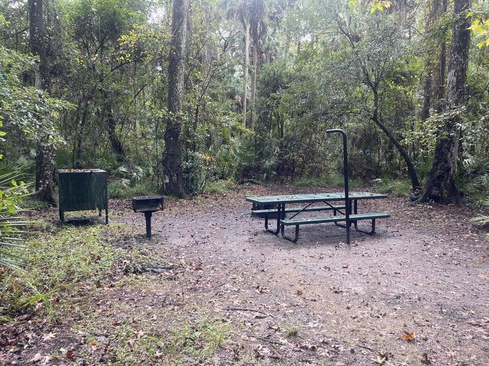 A photo of Site 066 of Loop FERN at JUNIPER SPRINGS REC AREA with Picnic Table, Fire Pit, Shade, Food Storage, Lantern Pole