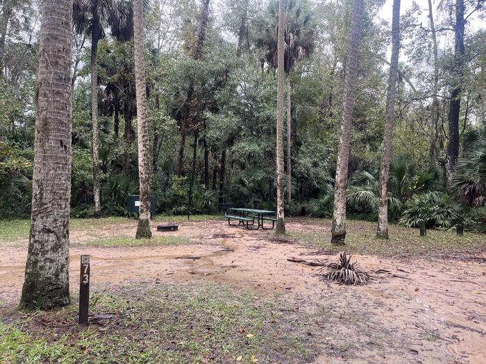 A photo of Site 073 of Loop FERN at JUNIPER SPRINGS REC AREA with Picnic Table, Fire Pit, Shade, Food Storage, Lantern Pole